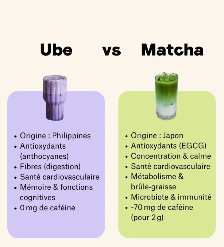 Ube vs Matcha : quelle alternative choisir ? - Ube & Chill