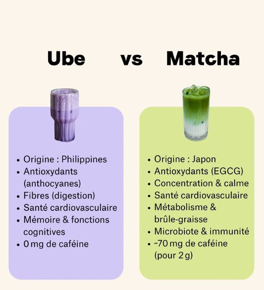 Ube vs Matcha : quelle alternative choisir ? - Ube & Chill